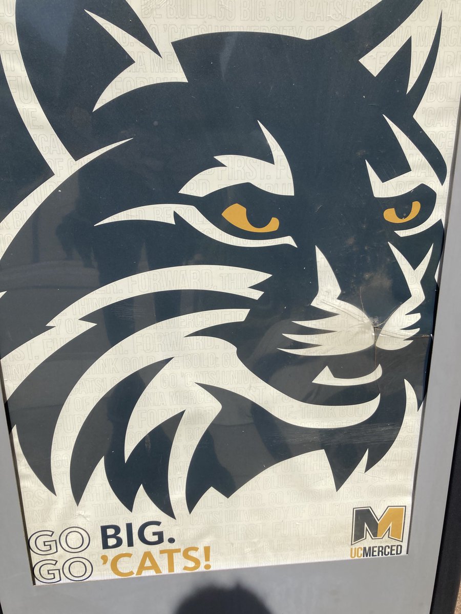 Anna M Nierenberg tweet media