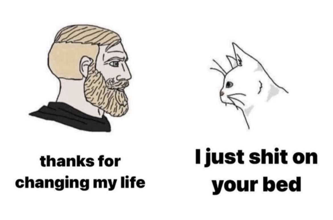 ShitpostGate's tweet photo. https://t.co/TLUjvR3F8s