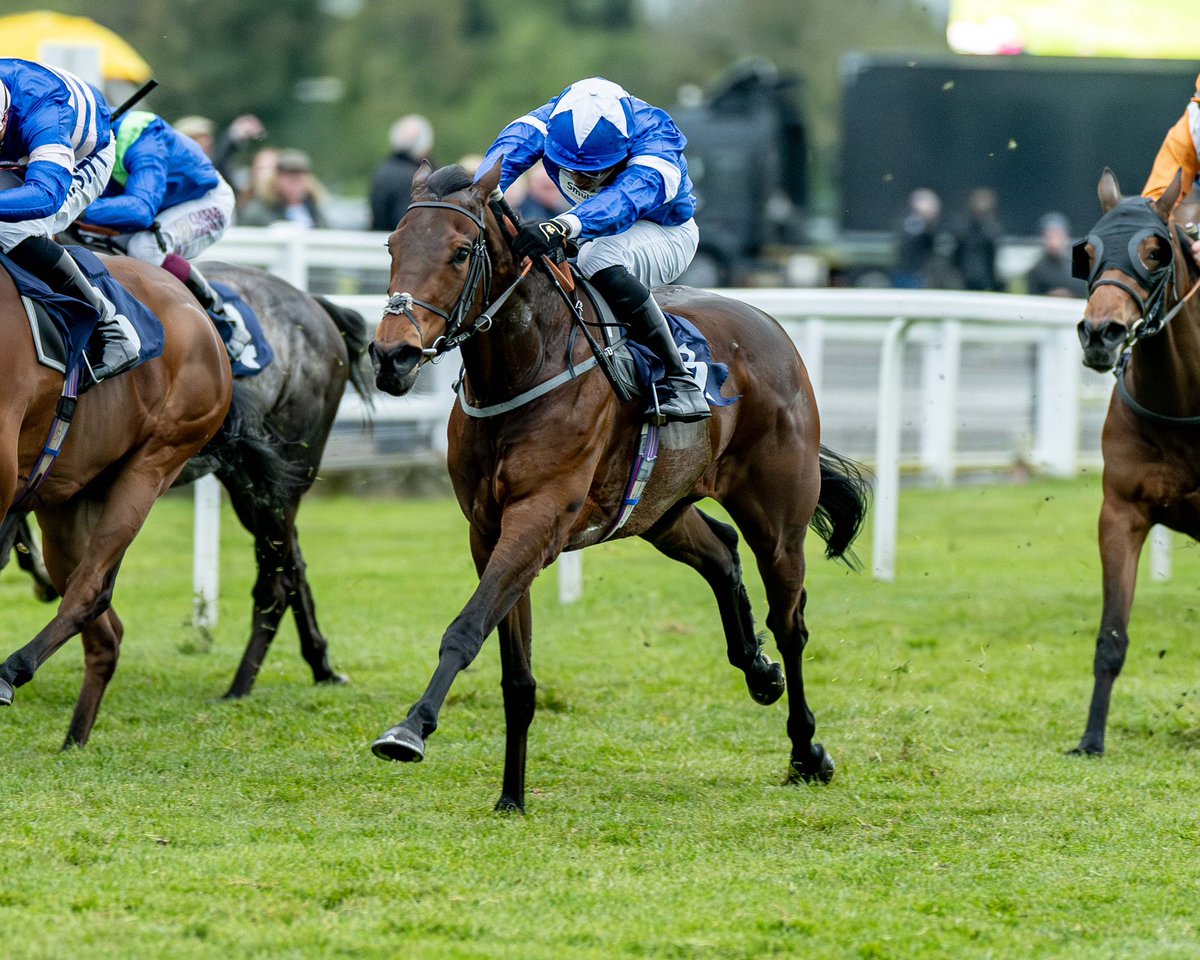 Darren Cool Images (@dcoolimages) on Twitter photo Racing at <a href="/WindsorRaces/">Windsor Racecourse</a> this afternoon/evening.
๐๐๐
#dcoolimages #windsor #windsorraces #windsorracecourse #attheraces #horse #horses #horseracing #races #racing #sport #sportphotography #horseracingphotography #iamnikon #nikon #nikonz9 Racing at <a href="/WindsorRaces/">Windsor Racecourse</a> this afternoon/evening.
๐๐๐
#dcoolimages #windsor #windsorraces #windsorracecourse #attheraces #horse #horses #horseracing #races #racing #sport #sportphotography #horseracingphotography #iamnikon #nikon #nikonz9