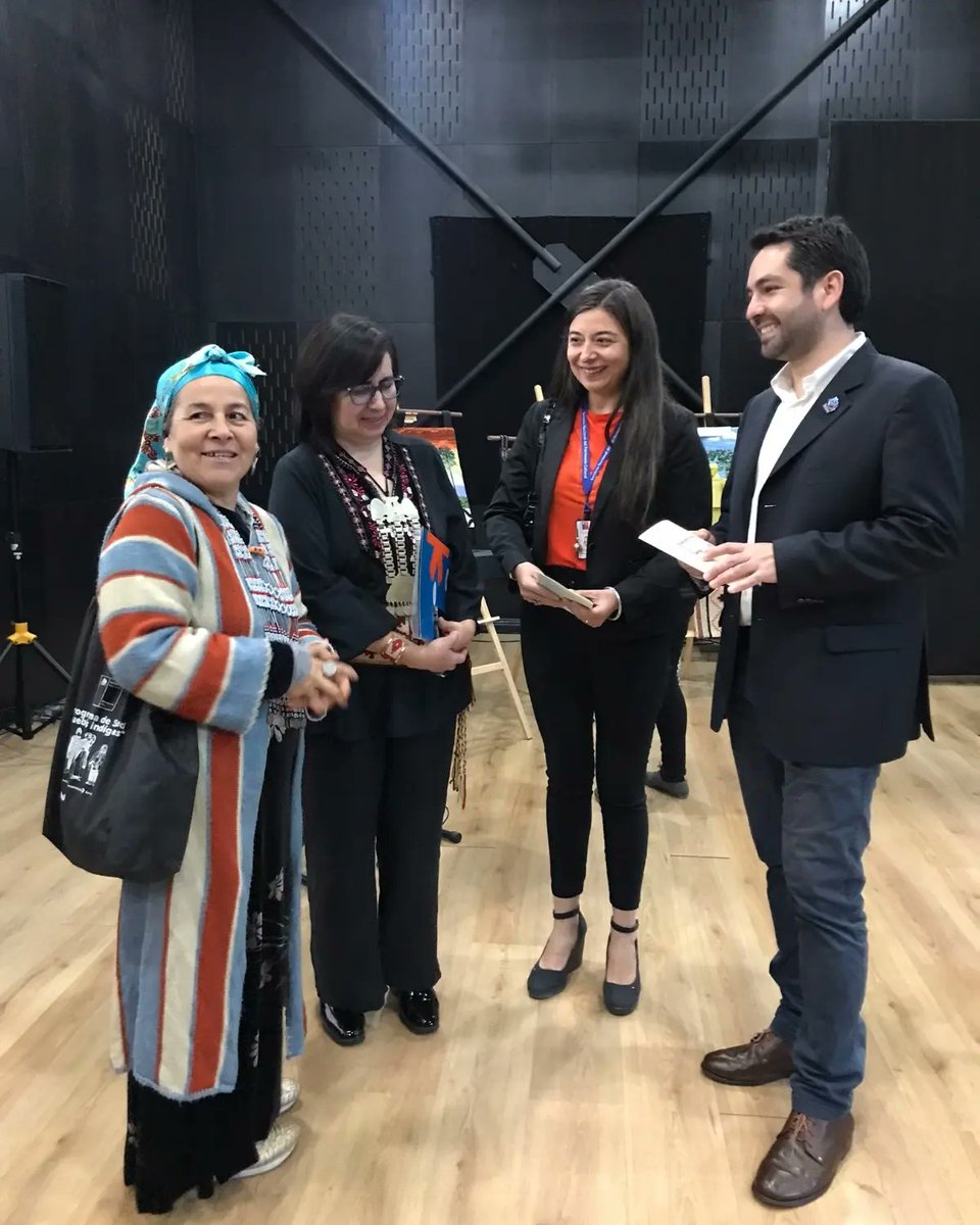 ProChile Ñuble tweet media