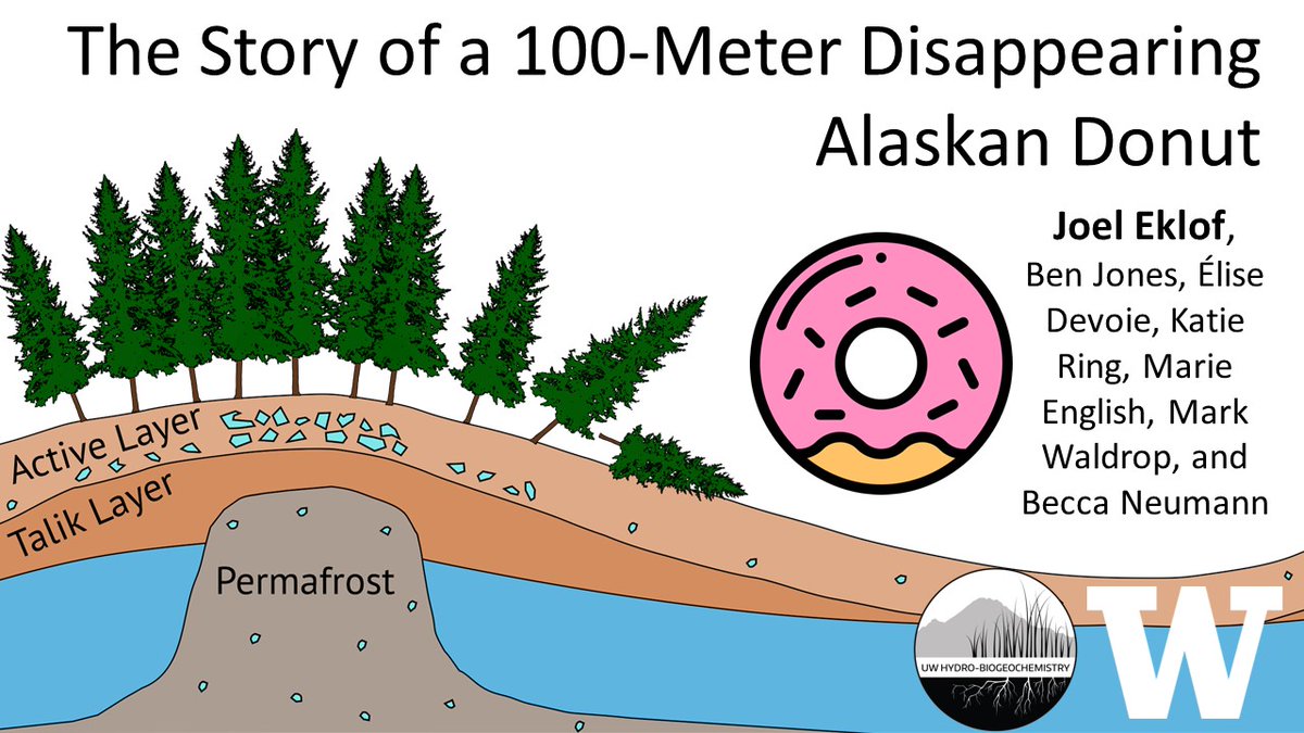 I just celebrated #EarthDay2024 🌏 by giving a #Permafrost talk for an introductory #Climate course at @SeattlePacific! Thanks to Dr. Lisa Goodhew for having me. So many wonderful questions!