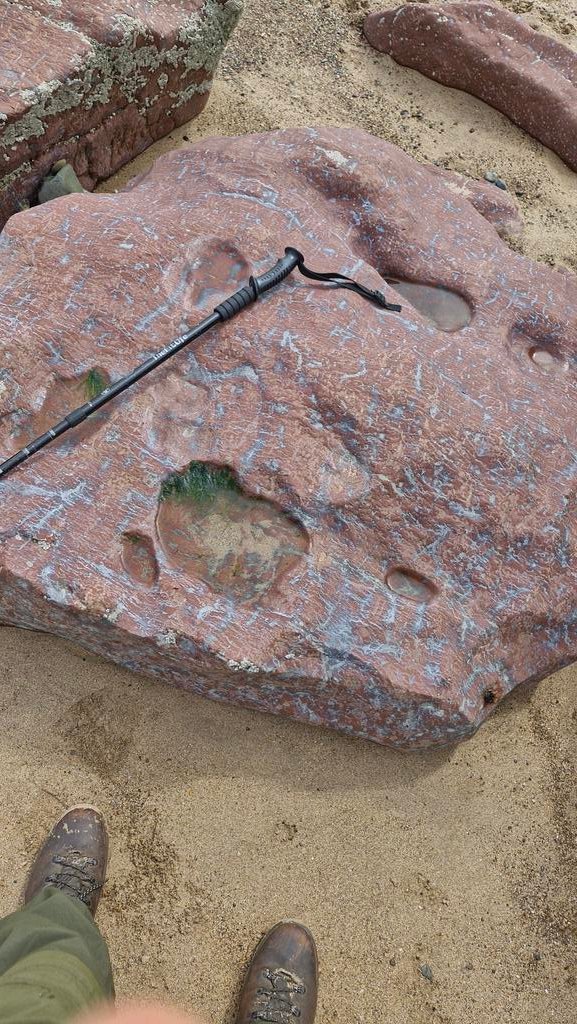 morgan_bugler's tweet image. Third day of the Tenby field course introduced the undergraduates to geological mapping @JRawlingsVolc @OceanEarthUoS