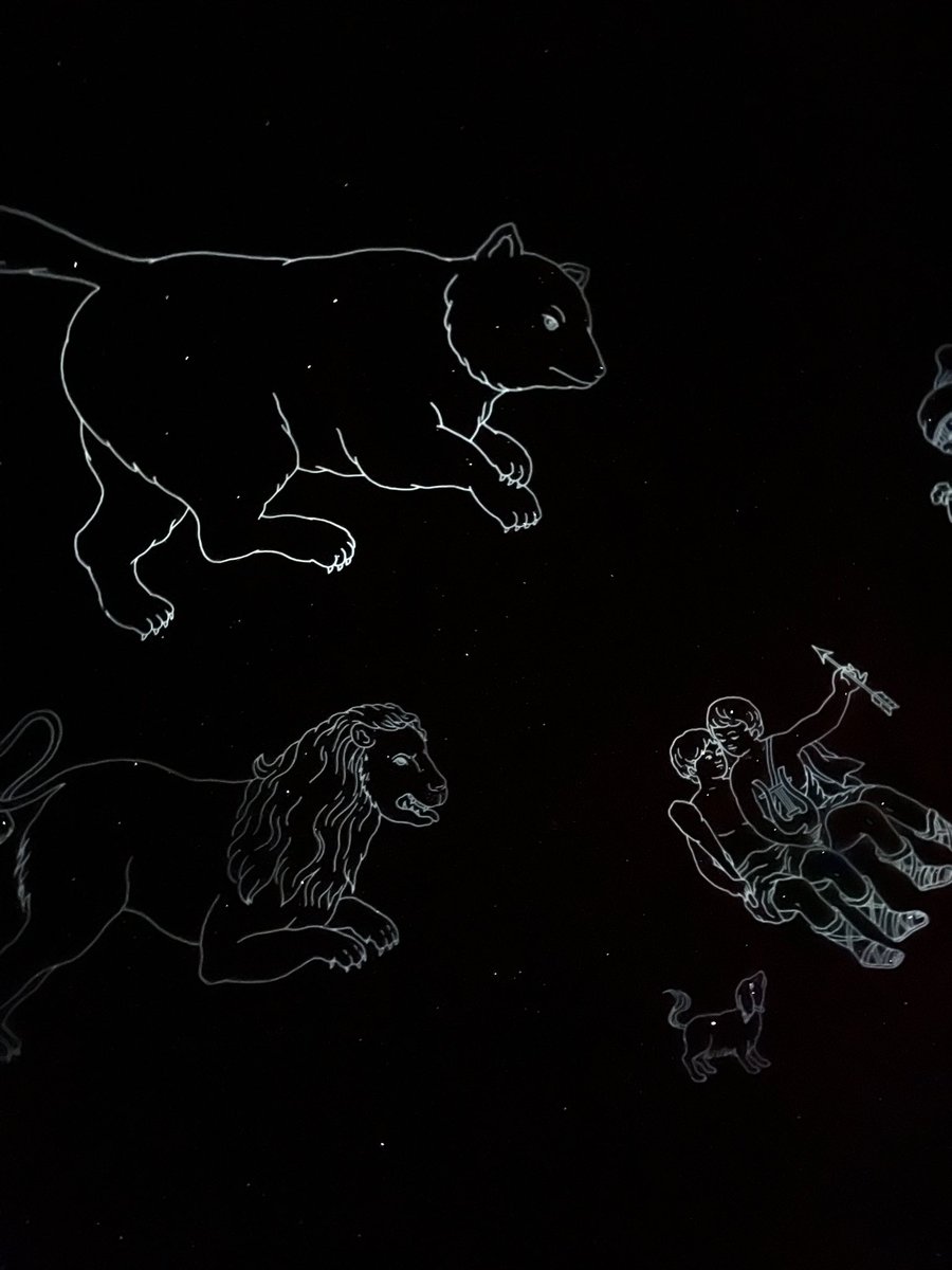 FCPSMurphy's tweet photo. Today we took a trip over to the @FCPSESSL to learn about some cool animals and look at our day/night sky patterns! My firsties had such a great time. Thank you for having us! https://t.co/w14qP8HvvE
