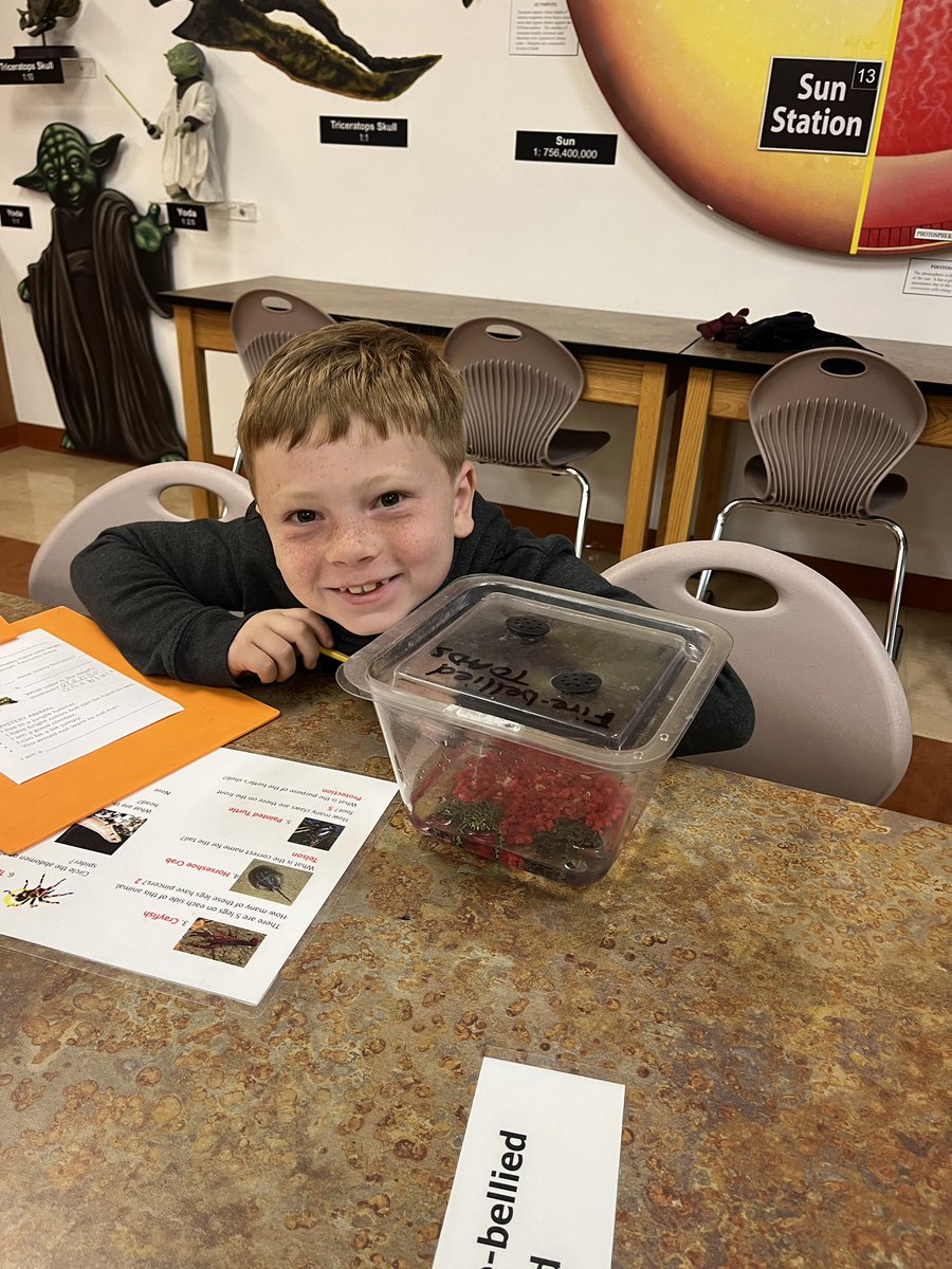 FCPSMurphy's tweet photo. Today we took a trip over to the @FCPSESSL to learn about some cool animals and look at our day/night sky patterns! My firsties had such a great time. Thank you for having us! https://t.co/w14qP8HvvE