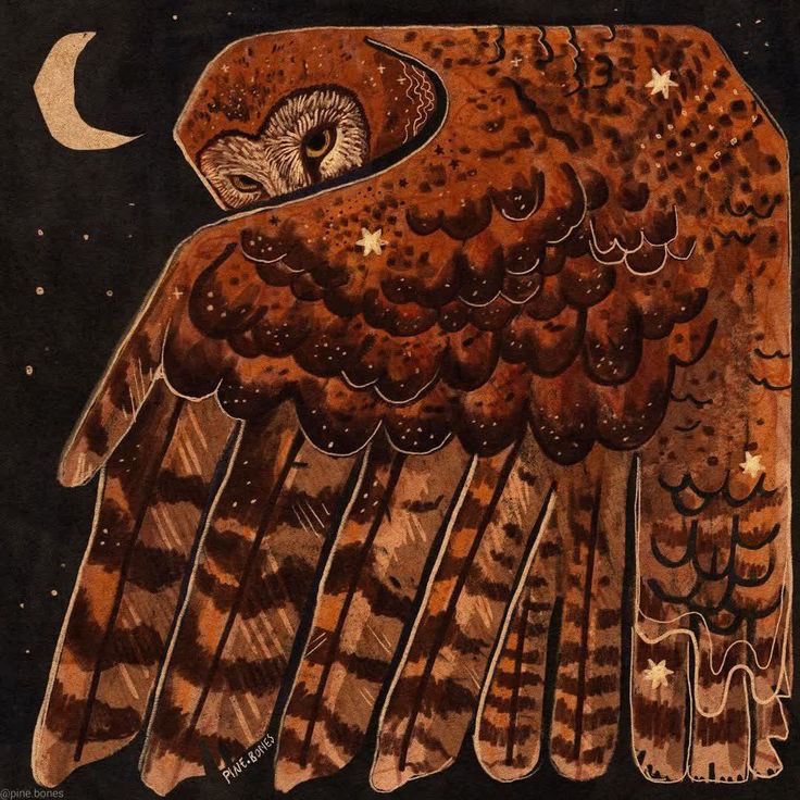Goodnight, may we all sleep beneath the downysoft refuge of an owl’s wing. #OwlishMonday