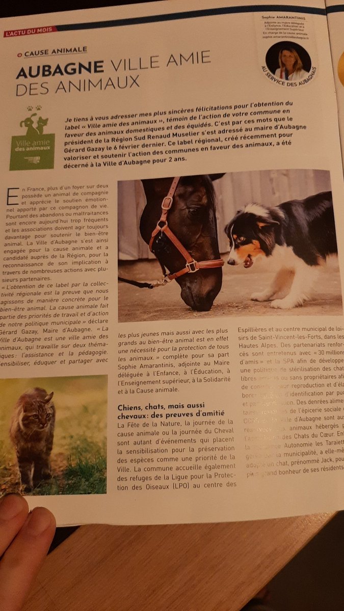 cesari92's tweet photo. @paz_zoopolis @villedaubagne Et ce alors que la @villedaubagne vient de recevoir un label "Ville amie des animaux" (seulement des animaux domestiques bien sûr)... J'ai contacté la mairie pour discuter d'une extension du débat aux animaux d'élevage et liminaires : pas de réponse... https://t.co/pEB18aPJX6