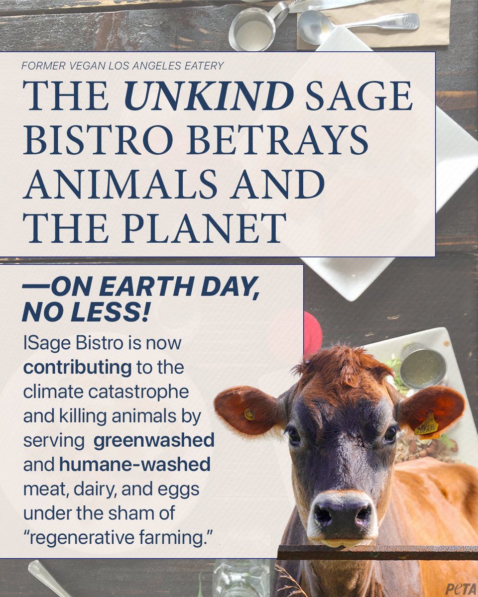 How can a business go from promoting compassion and sustainability to this? Regenerative Agriculture is a SHAM if it involves animals.

This is such a huge betrayal to animals, the Earth, and your customers, Sage Bistro.