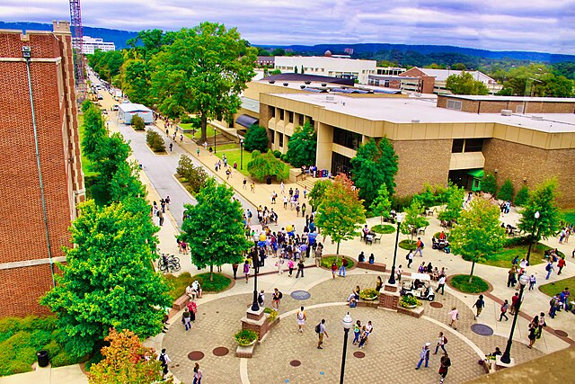 Are you currently a student attending a local college or university? We're seeking volunteers who are interested in campus organizing across the country. #JillStein2024 SURVEY: forms.gle/CxTYcV7dPdda4v…