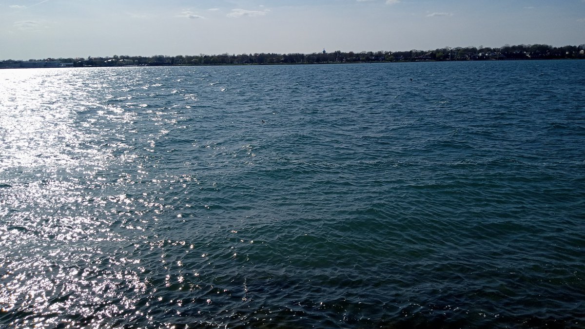 dwarren1010's tweet photo. @WxOntario1 beautiful day in #courtright #stclairtownship #sarnia #Ontario #stclairriver https://t.co/yjL1dlcRkq