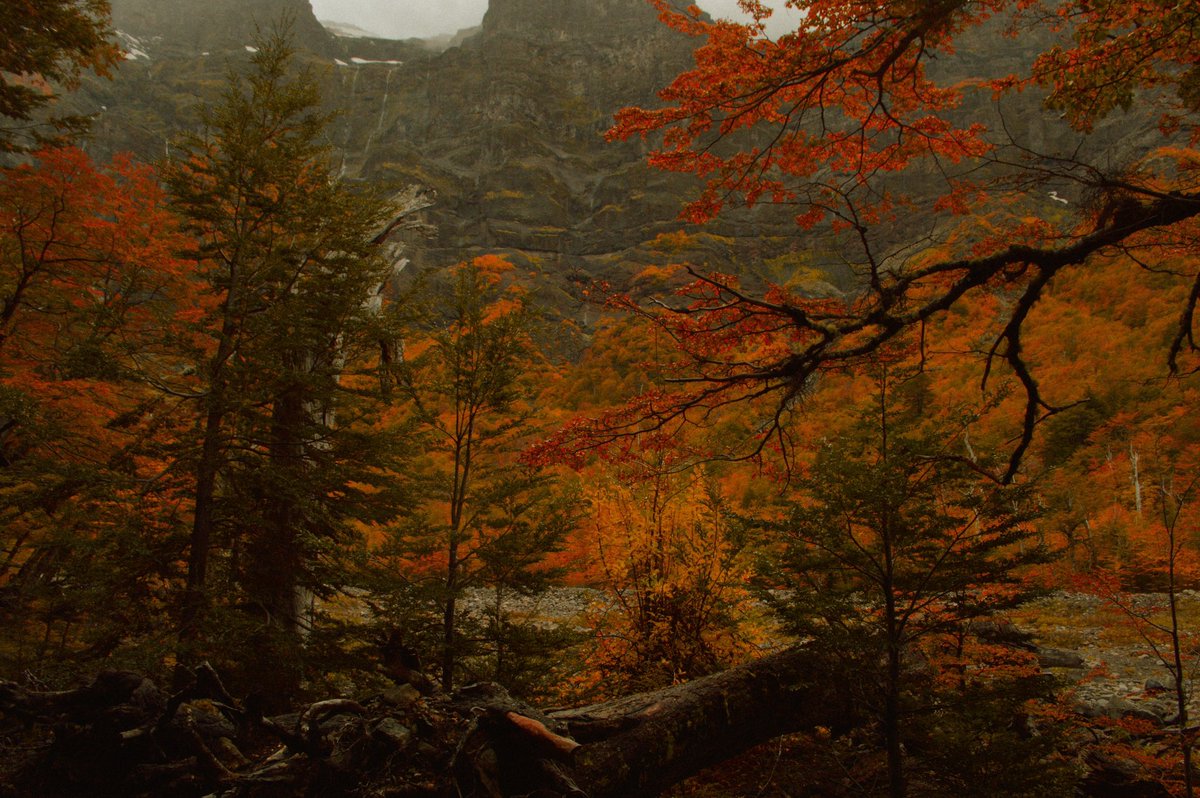 violaceo__'s tweet photo. Sendero a Cascada Garganta del Diablo, base del Cerro Tronador, Parque Nahuel Huapi, Bariloche. https://t.co/SuflCa7eJS