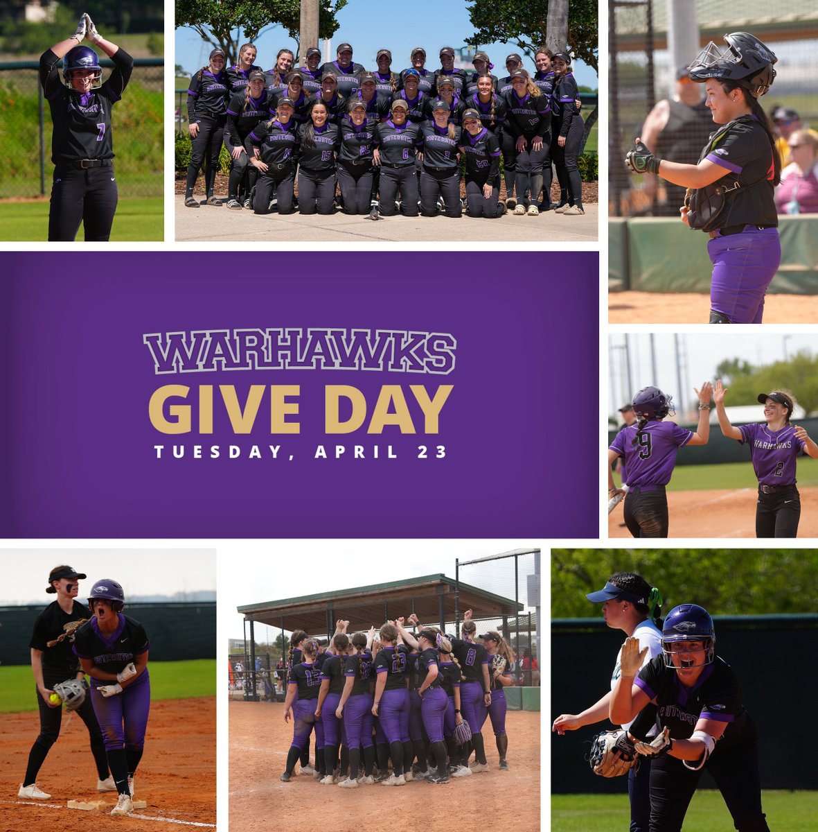 Warhawk Softball tweet media