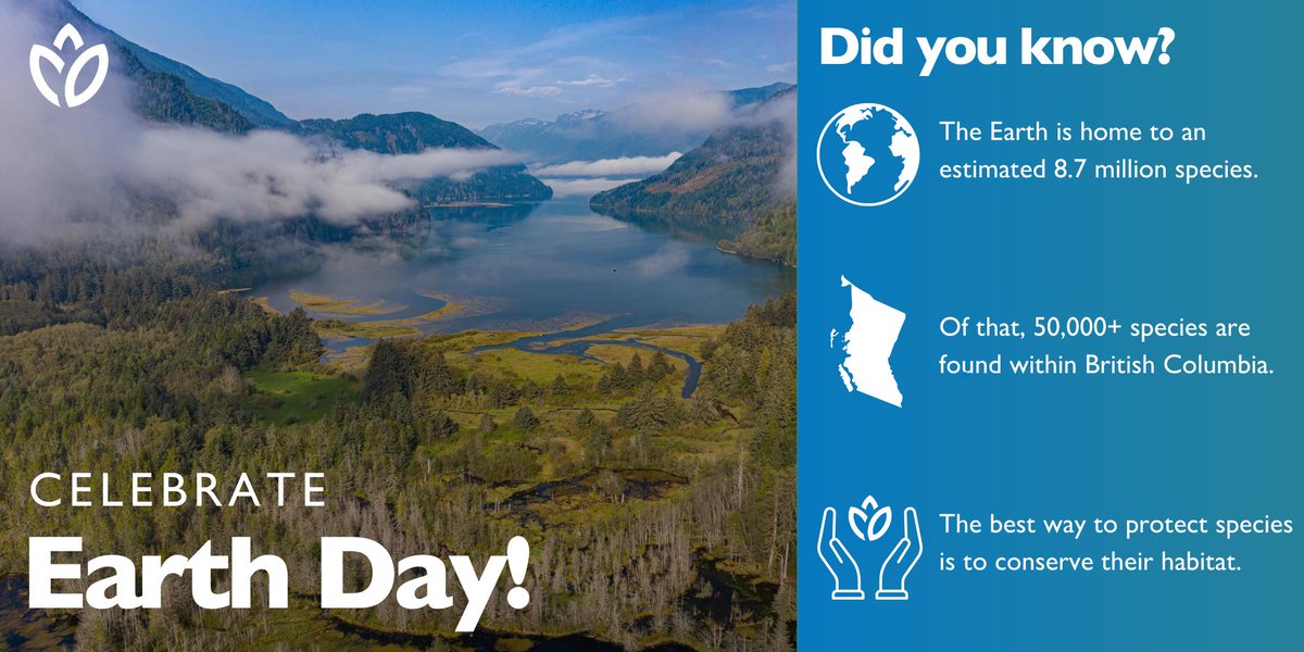 Happy Earth Day 🌎💚 Today & every day, we celebrate our planet's beautiful biodiversity. Donate today to protect important ecosystems and wildlife habitats to help B.C.'s biodiversity thrive 🌿💧 bit.ly/4czPjO7