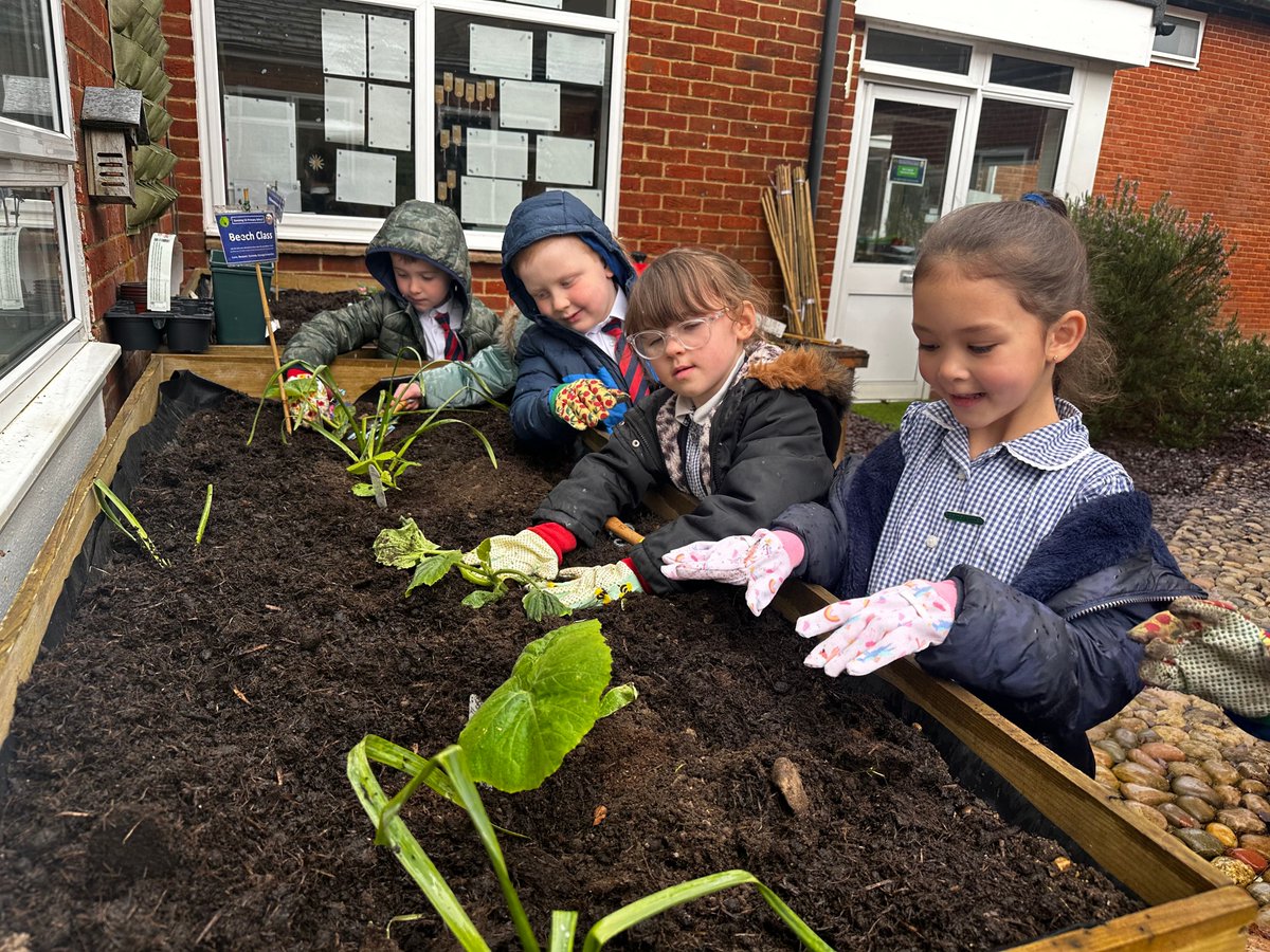 sonningprimary's tweet image. Children from every class took part in planting a range of fruit and vegetables, in our courtyard area. We look forward to caring for them this term and watching them grow. #SpiritualityDay #EcoTeam #SchoolValues