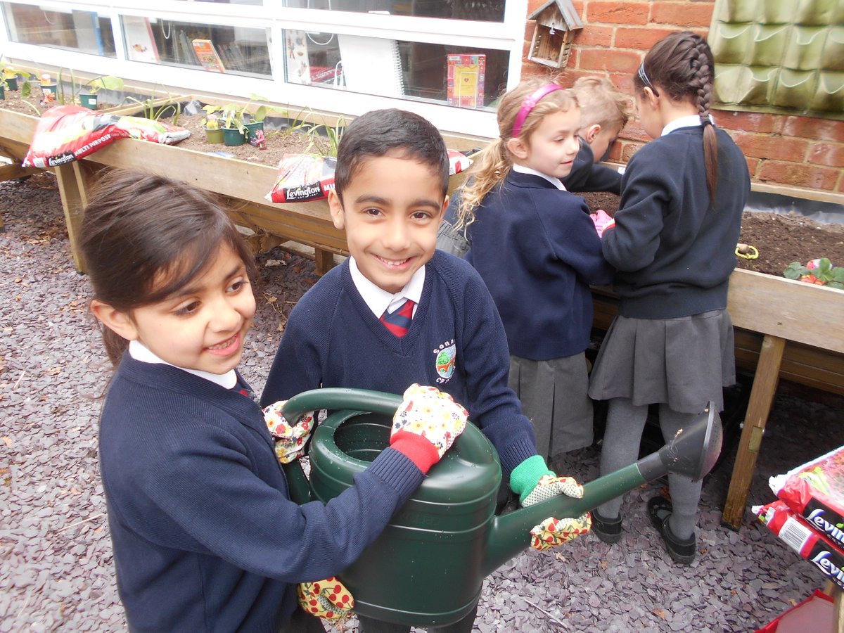 sonningprimary's tweet image. Children from every class took part in planting a range of fruit and vegetables, in our courtyard area. We look forward to caring for them this term and watching them grow. #SpiritualityDay #EcoTeam #SchoolValues