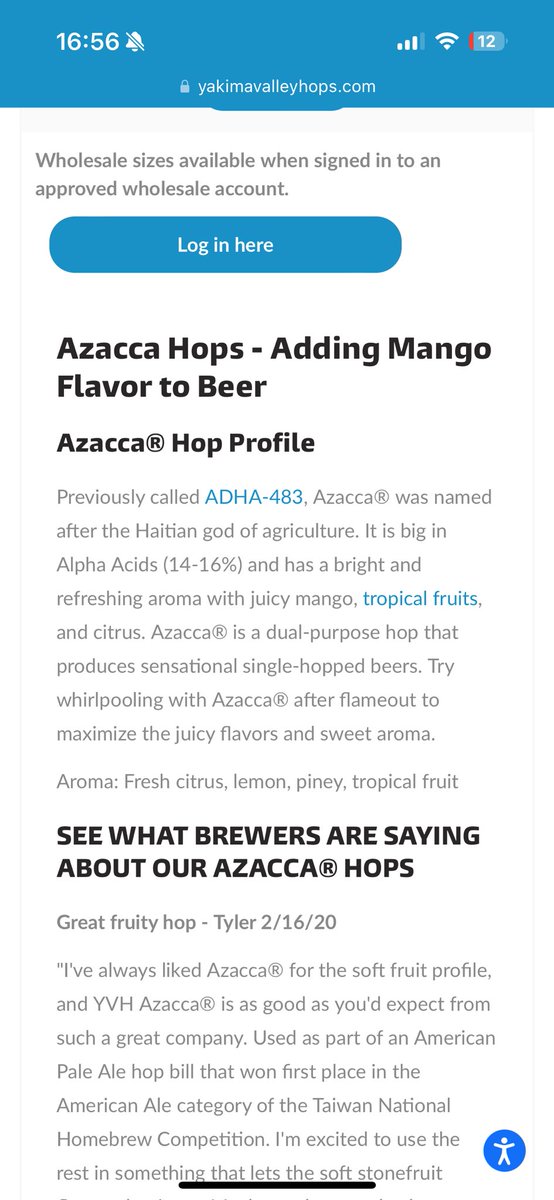 Fun fact: this is actually where my artist name came from. Kye and I got rly into brewing our own Hazy IPA’s during Covid and this was one of the yummy hops we used. I changed the word around a bit and that’s the Azzecca origin story 🍻
