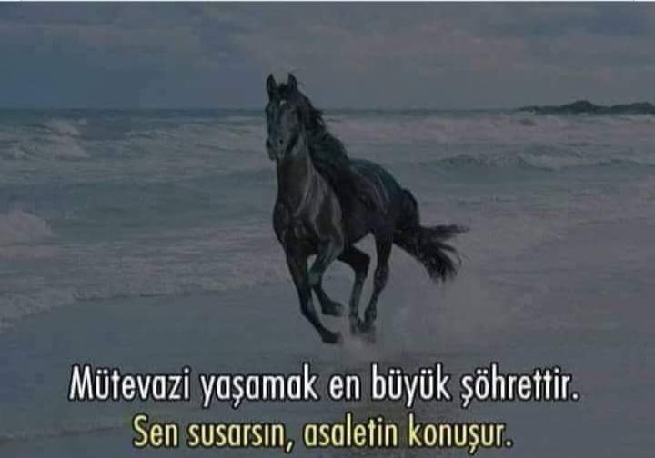 Biz kimiz ki birini düşük görüp; kendimizi yukarıda görecek. Toprak kabul ettiğinde ne ünvanların, ne makamların, ne de paraların bir anlamı olmayacak. O nedenle insanlar ikiye ayrılır iyi insanlar ve kötü insanlar diye.