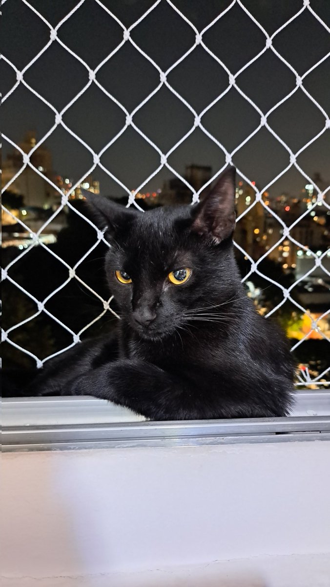 entaotha's tweet image. Na boleia do caminhão