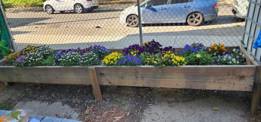 🌿🌻 The compost education event at McPherson Gateway Garden (2968 Kensington Ave) was a huge success! It was amazing teaching our community youth about planting veggies, flowers, & the importance of composting.Let's continue to grow together! #CommunityGarden #CompostEducation