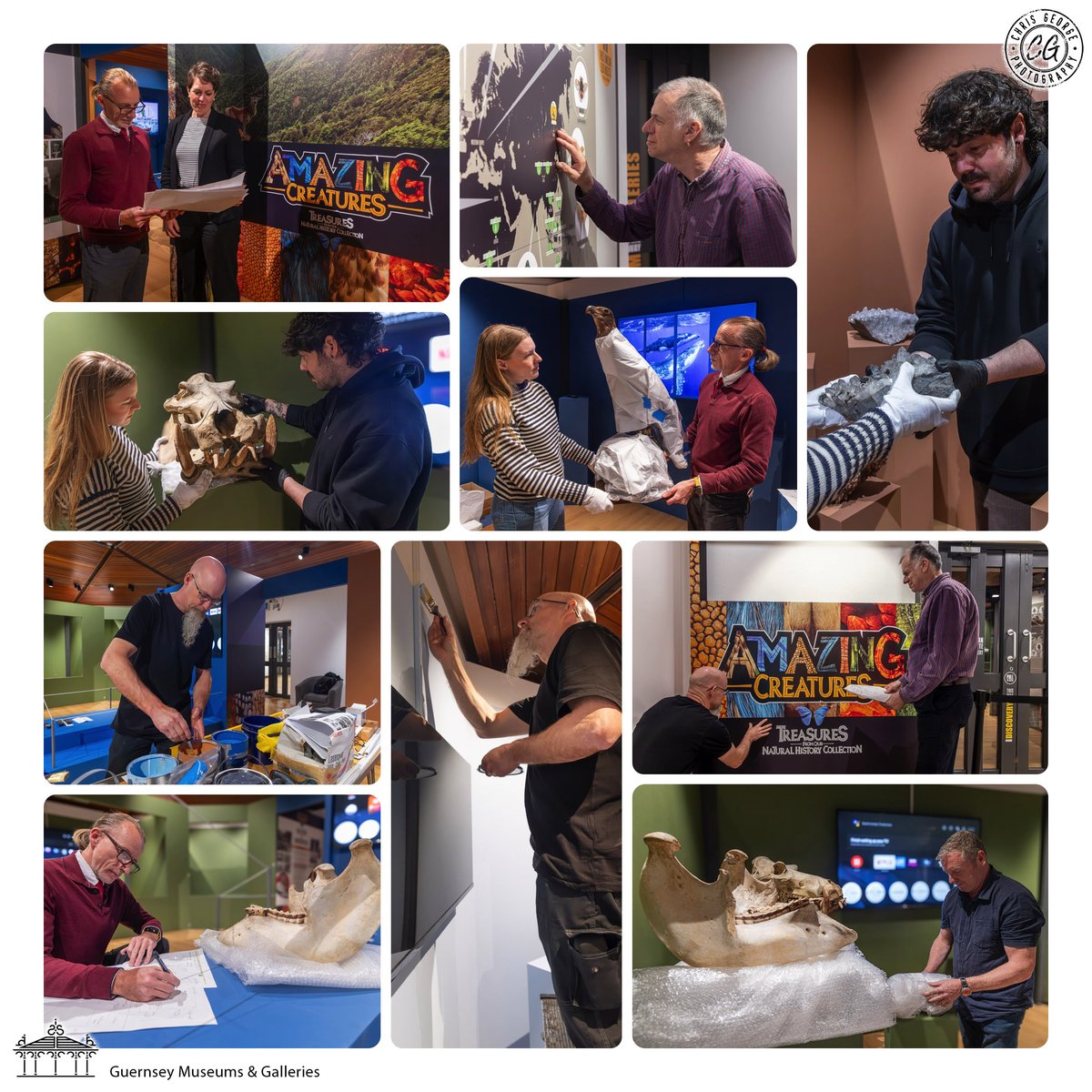 @GuernseyMuseums staff have been very busy behind the scenes preparing for their next exhibition ‘Amazing Creatures’. The exhibition opens on the 26th April and continues till the 15th September. Discover more at museums.gov.gg