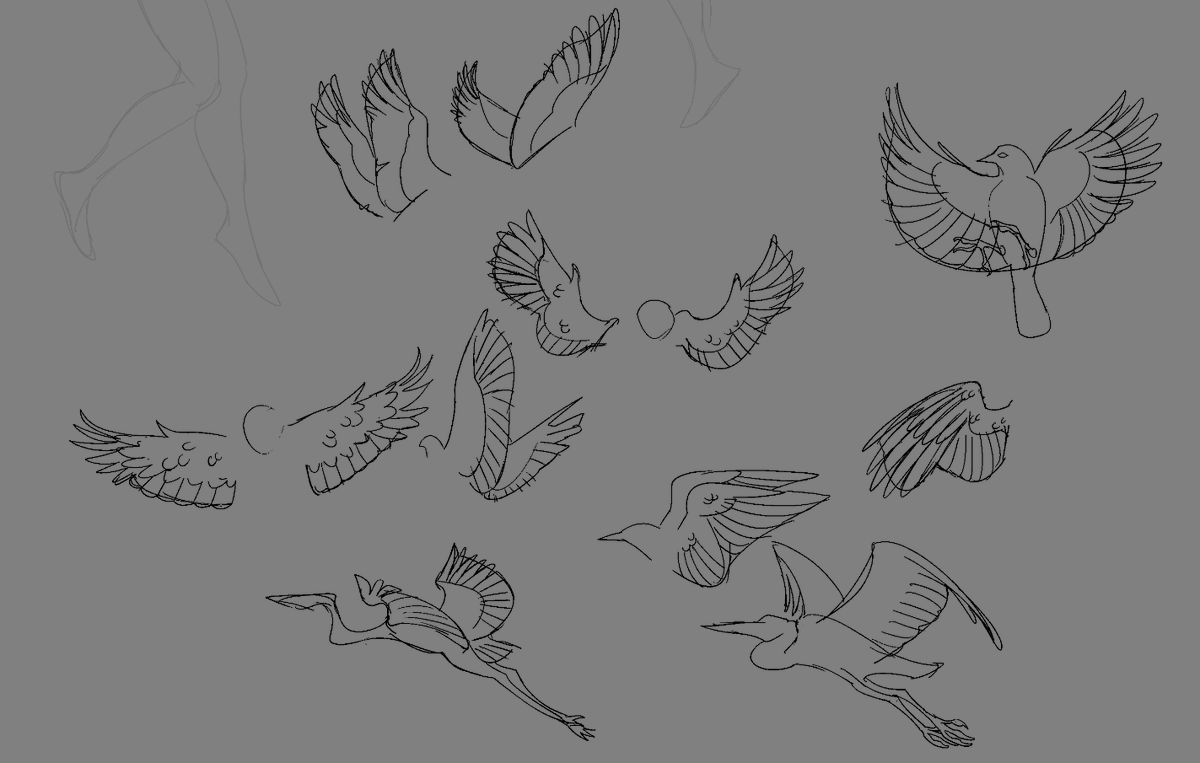 bird wing studies and then more my style of wings 