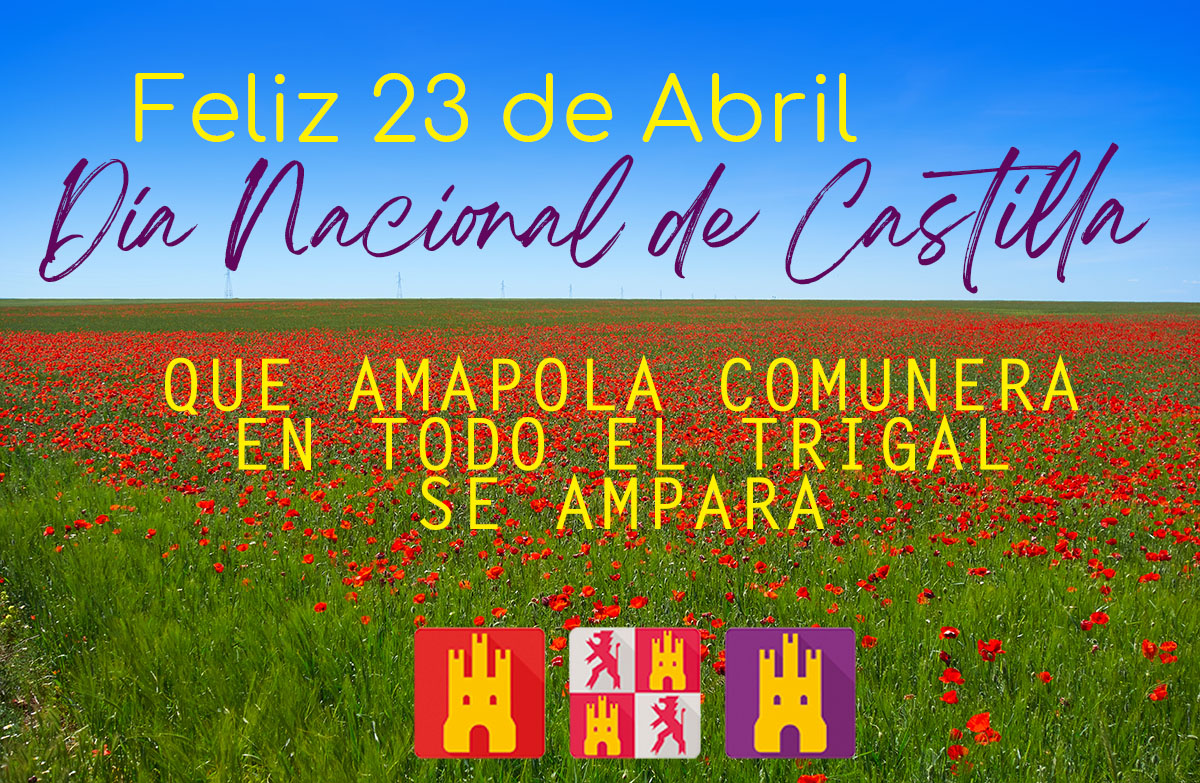 Feliz DÍA NACIONAL de CASTILLA 😀🌾 #Villalar2024