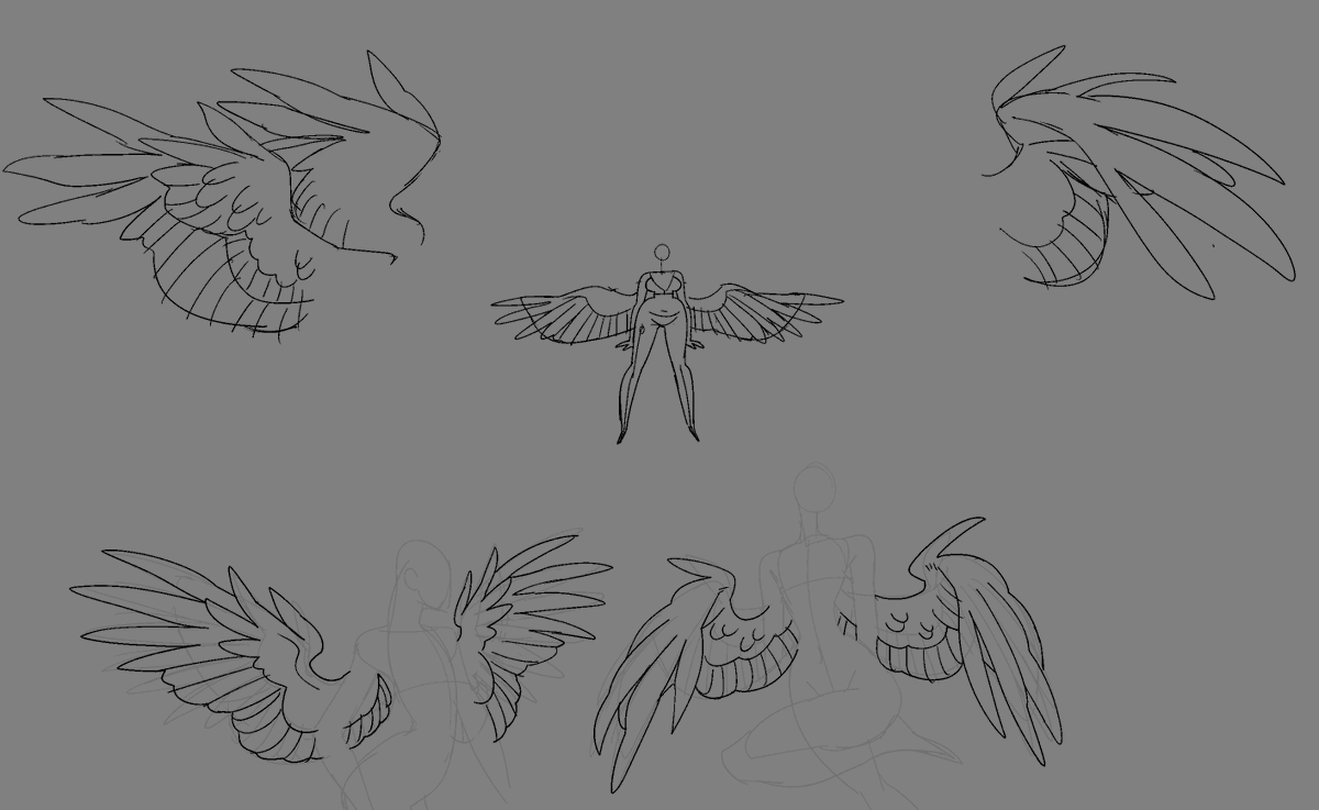 bird wing studies and then more my style of wings 