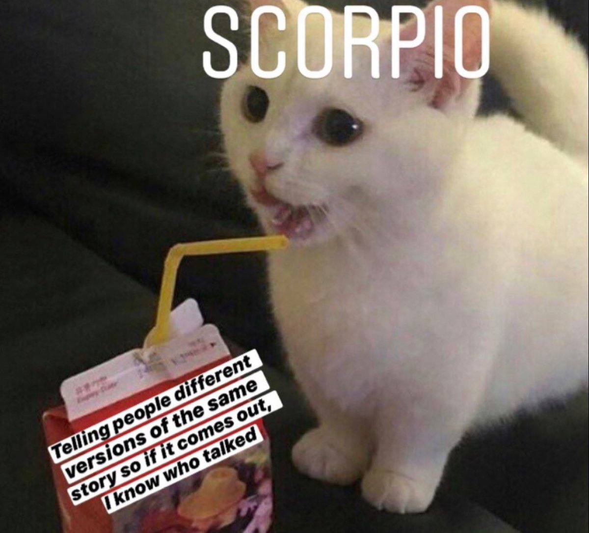 Scorpios be like