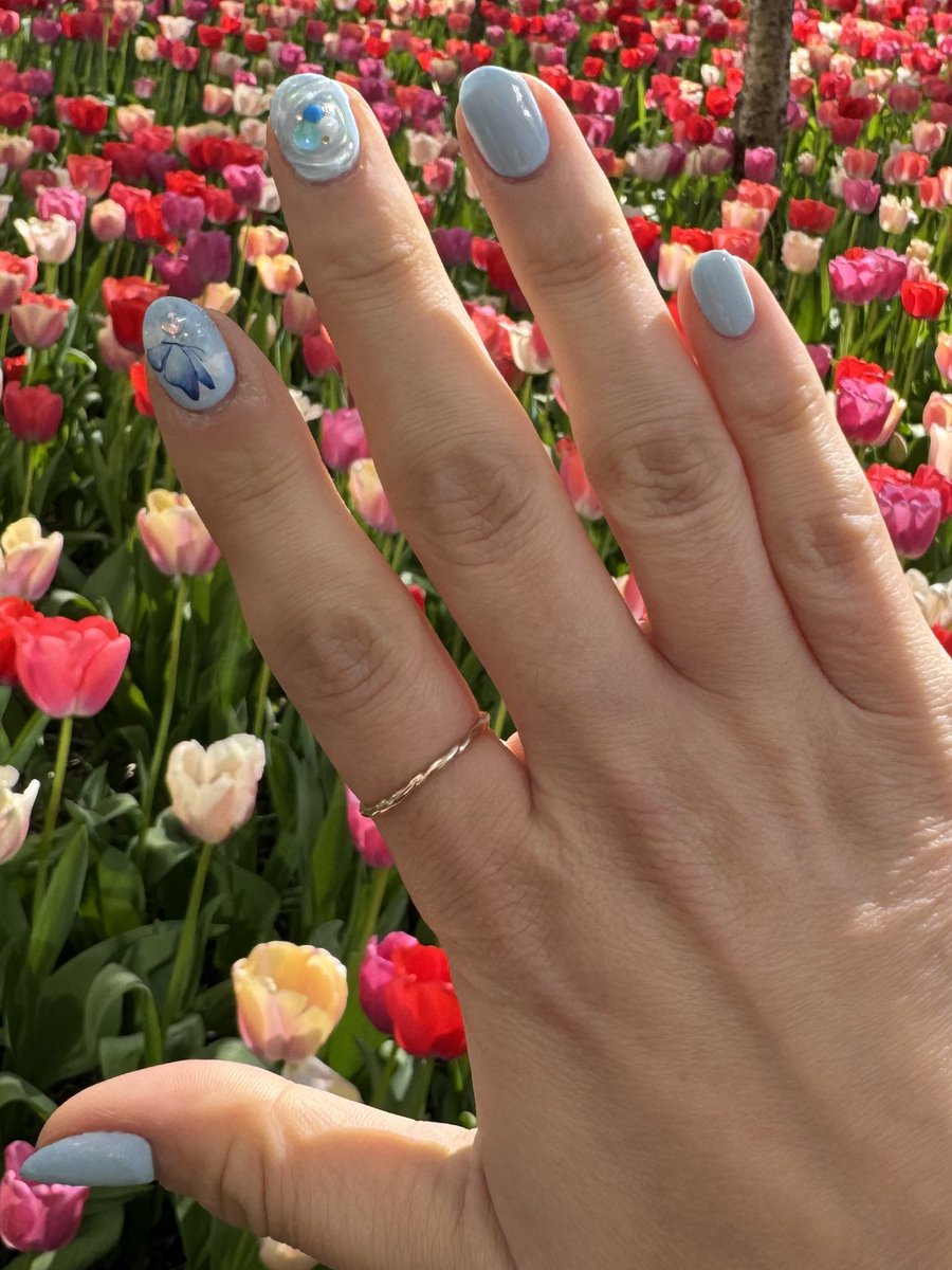 they planted 10,000 tulips to congratulate me on my cute nails