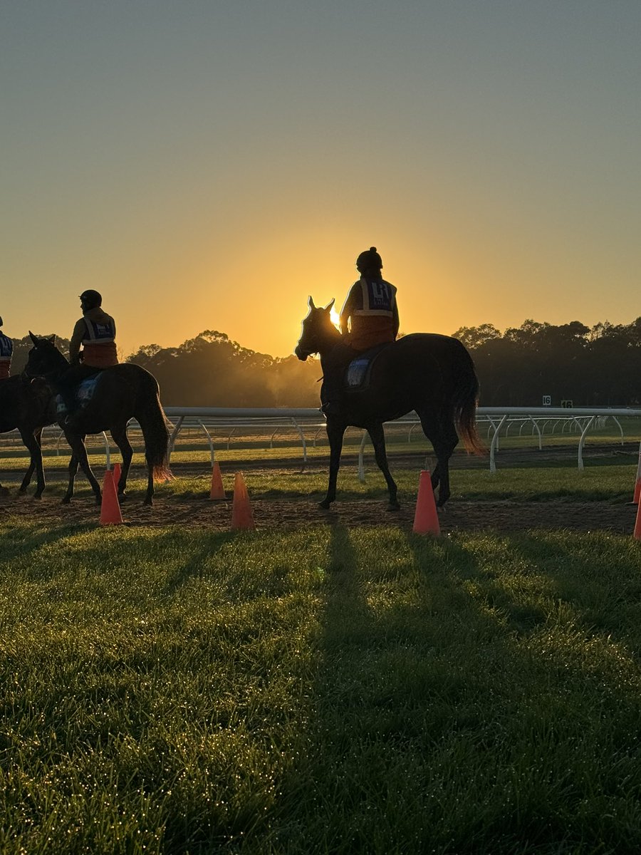The start of a big day here at Bendigo. 2️⃣1️⃣ trials 1️⃣7️⃣2️⃣ horses 1️⃣9️⃣8️⃣ sausages Countless ☕️ 1️⃣2️⃣ incredible track staff who have managed 2 race meets & an official trial in 10 days. #NurseryOfChampions