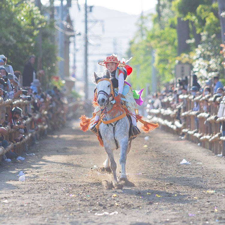 Yabusame (Toga Shrine Festival)

japanin.jp/en/image/31b92…

#japan #japantrip #explorejapan #traveljapan #localjapan #instajapan #japaninjapan #日本 #giappone #japon #japantour #japantravel