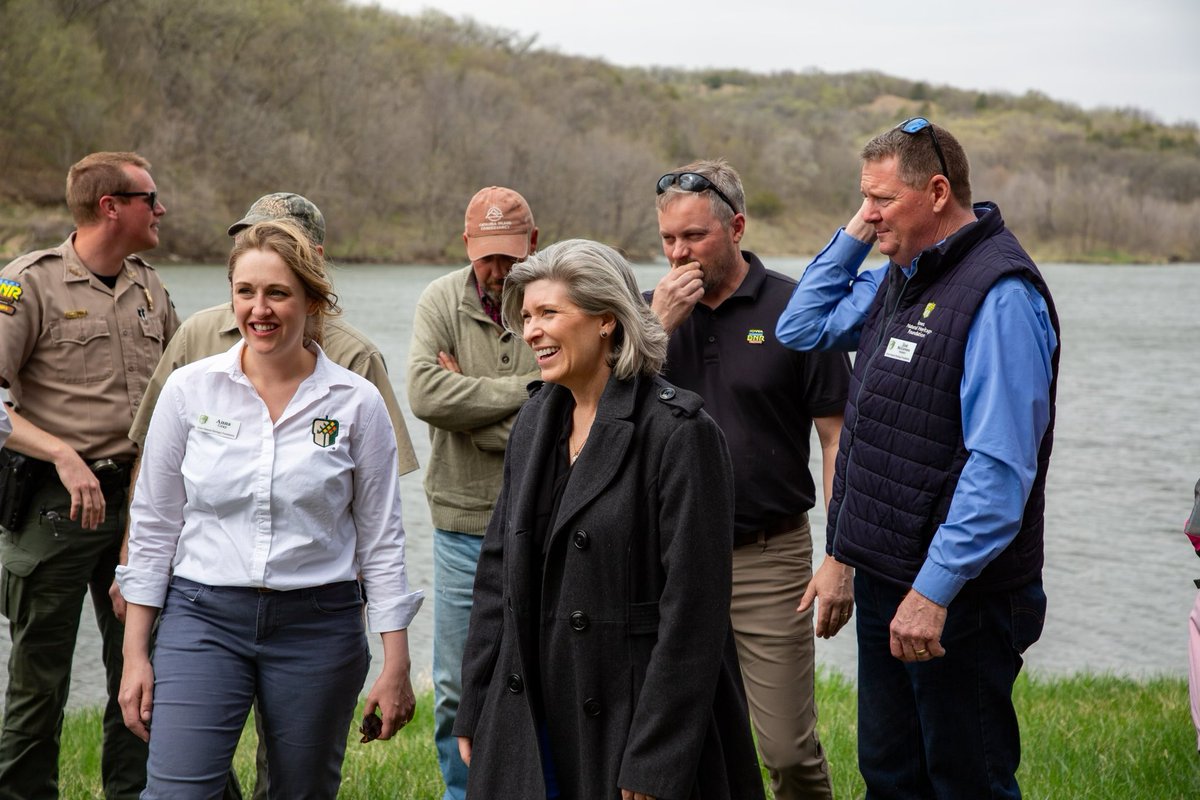 Joni Ernst tweet media