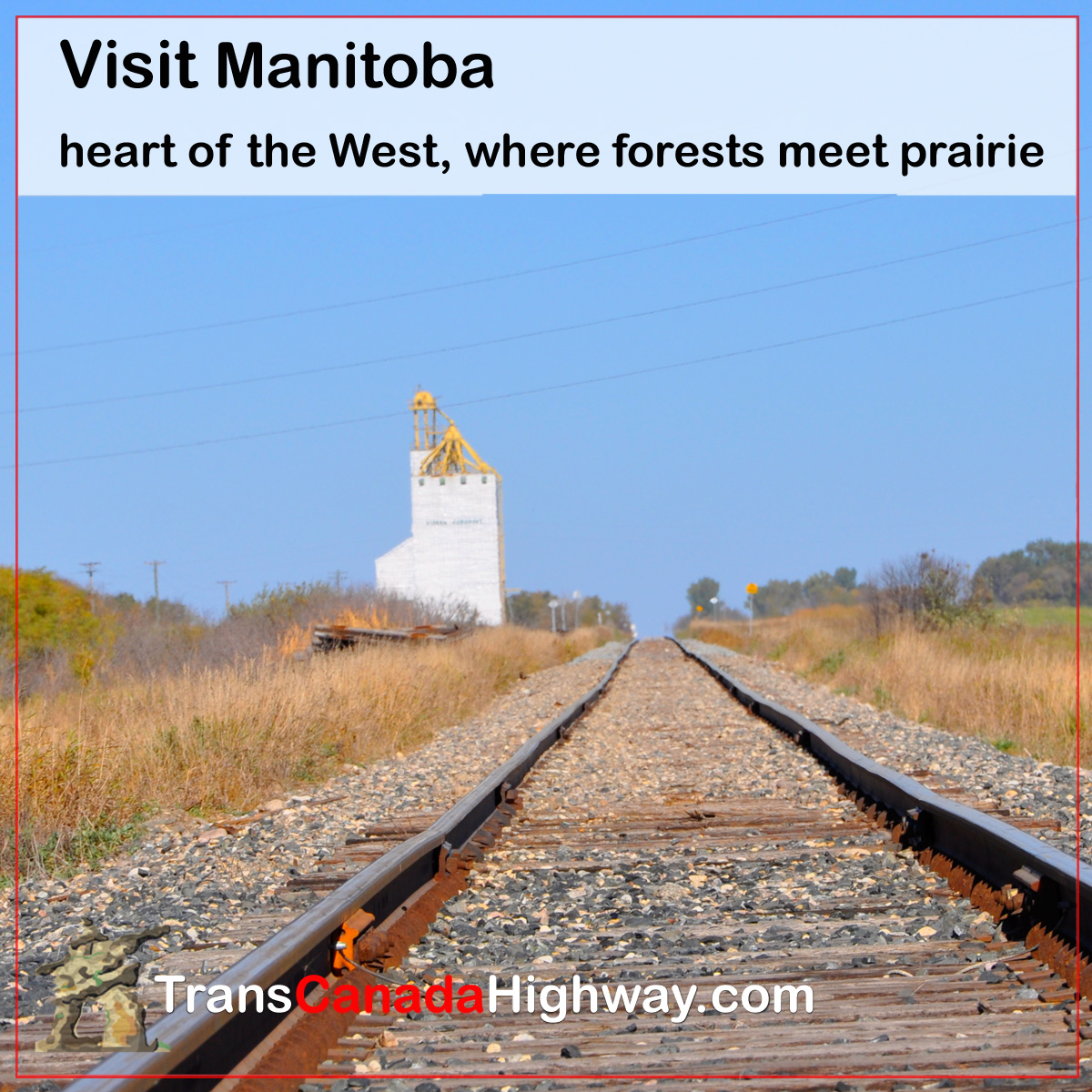 Visit Manitoba. Heart of the West, where forest meet prairie. Winnipeg, Red River, Portage La Prairie, Brandon Riding Mountain, Falcon Lake, Trans-Canada Highway
transcanadahighway.com/Manitoba/
#manitoba #winnipeg #canada #wpg #ywg #exploremb #winnipeglocal #winnipeglife #yourmanitoba
