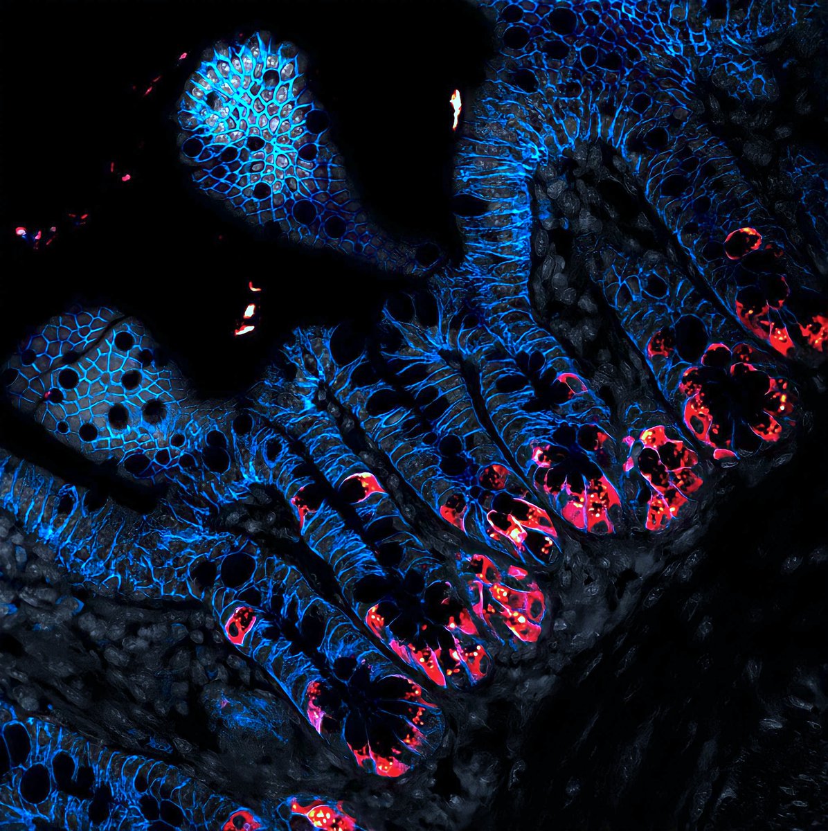 Mike Schumacher tweet media