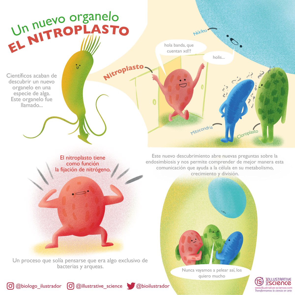 El nitroplasto 🫶🏽 un nuevo organelo Infografía libre de uso :)