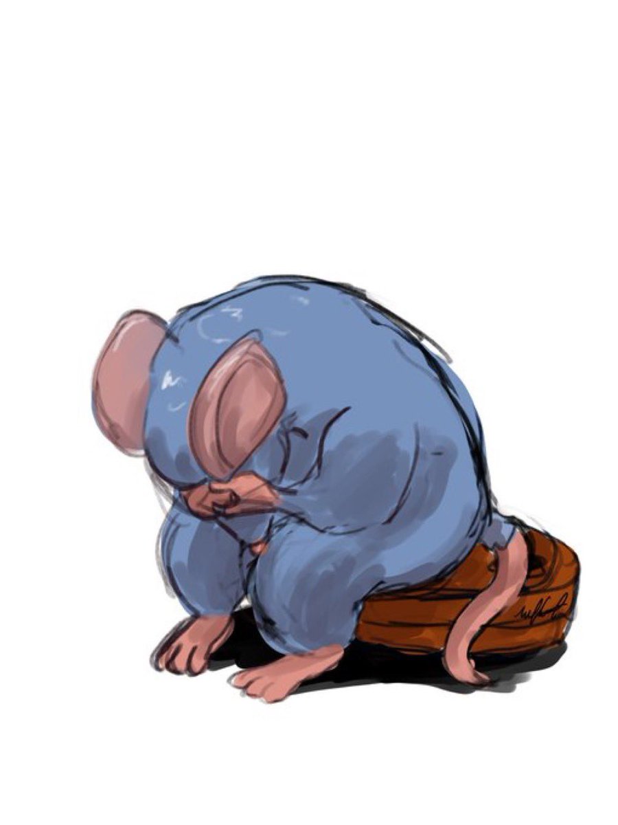 Rato Borrachudo tweet media