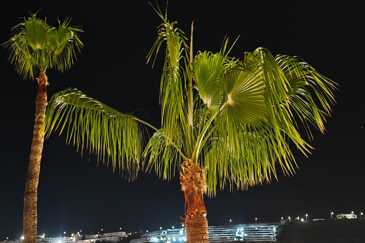 And a night shot.
🏖️🌴
#GranCanaria