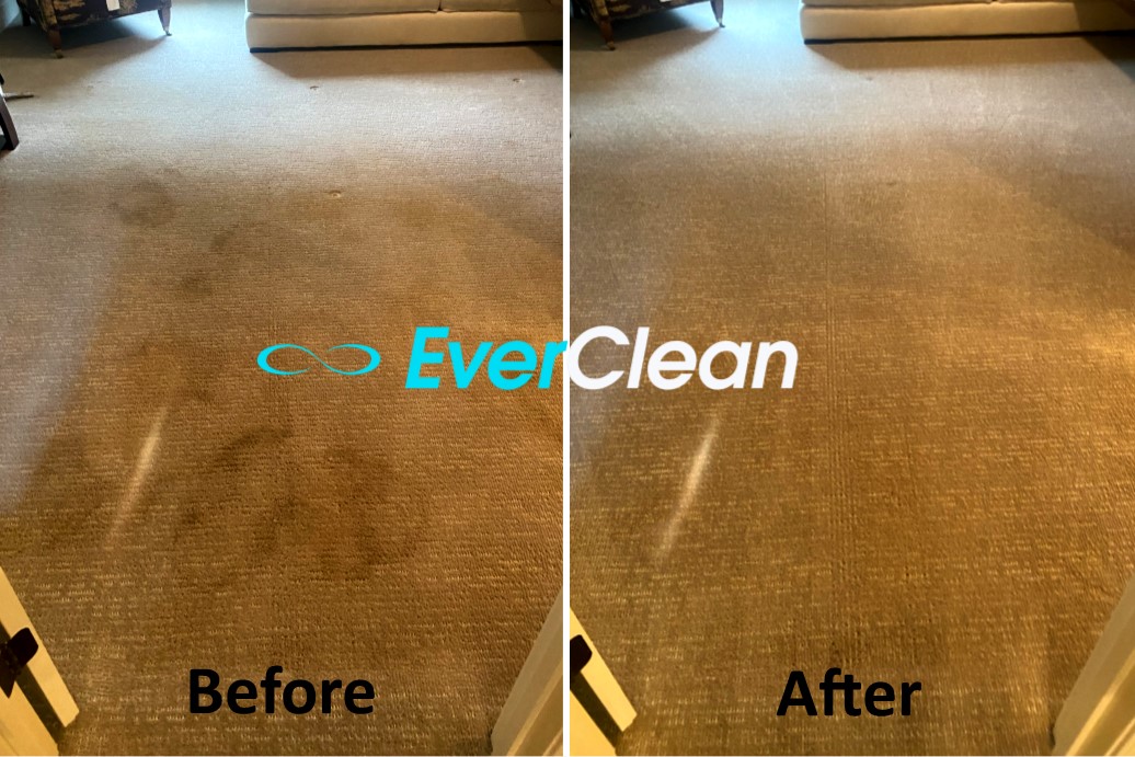EverCleanTN's tweet photo. Expert, certified floor care by EverClean Nashville. Get a quote and schedule at https://t.co/h1LmRNwU5j https://t.co/jPt6MhYFJi
