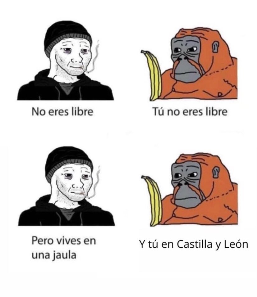 feliz dia de castigo y leon #diadecastillayleon