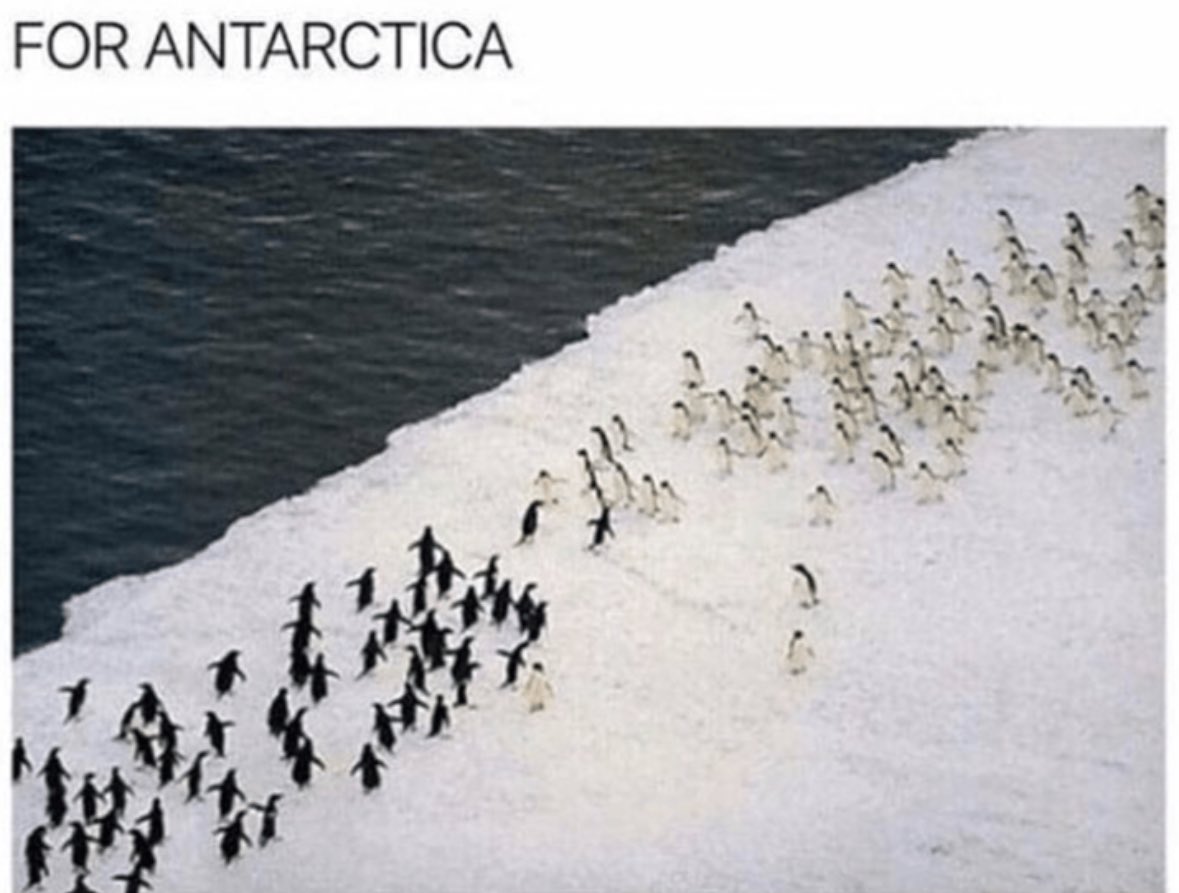 #Pingwin $PWIN buying competition: Whoever buys the most $PWIN over the next couple of days wins 1 $SOL.
Follow, like, RT and comment your $SOL address for a chance to win $PWIN completely for free!

#SolanaMemeCoins #memecoin #Crypto