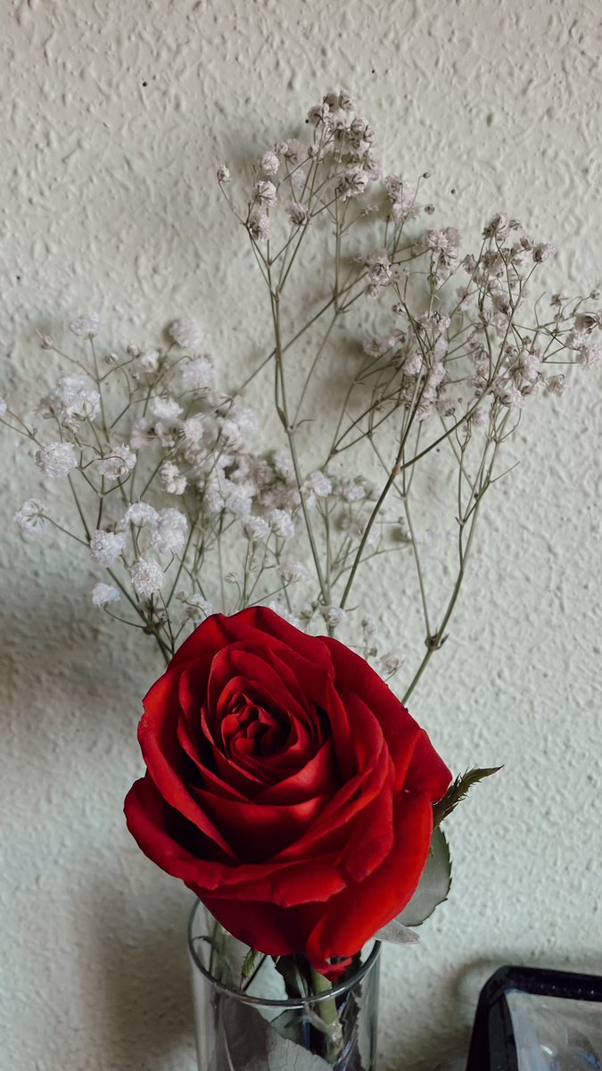 aguedaatoro_'s tweet photo. Feliz sant jordi, la fiesta más bonita de todas. ❤️🌹 https://t.co/fVNZya9b0Q