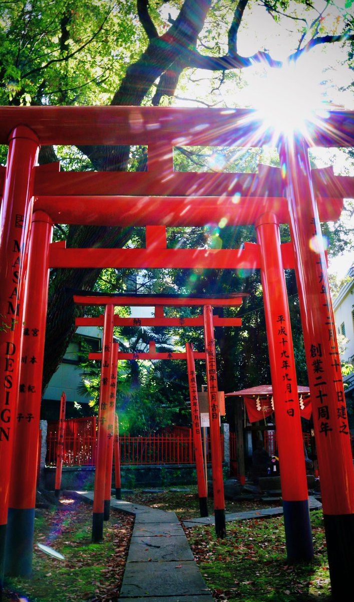 Hey @KaitlynUgoretz I’ve assembled 4 u this troop of Torii in order to take back Tuesdays from those tenacious tanukis at @japantrailcam. Just let me know when to dispatch them 🙃 #alliteration