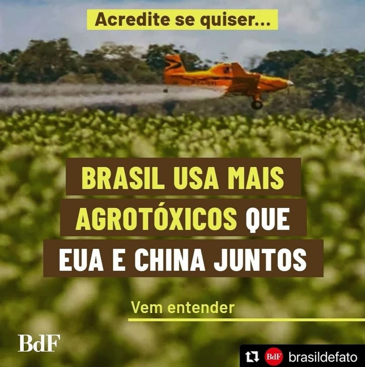 O AGRO É TÓXICO.