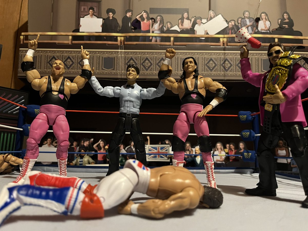 Better luck next time Bulldogs… #figlife #figurephotography