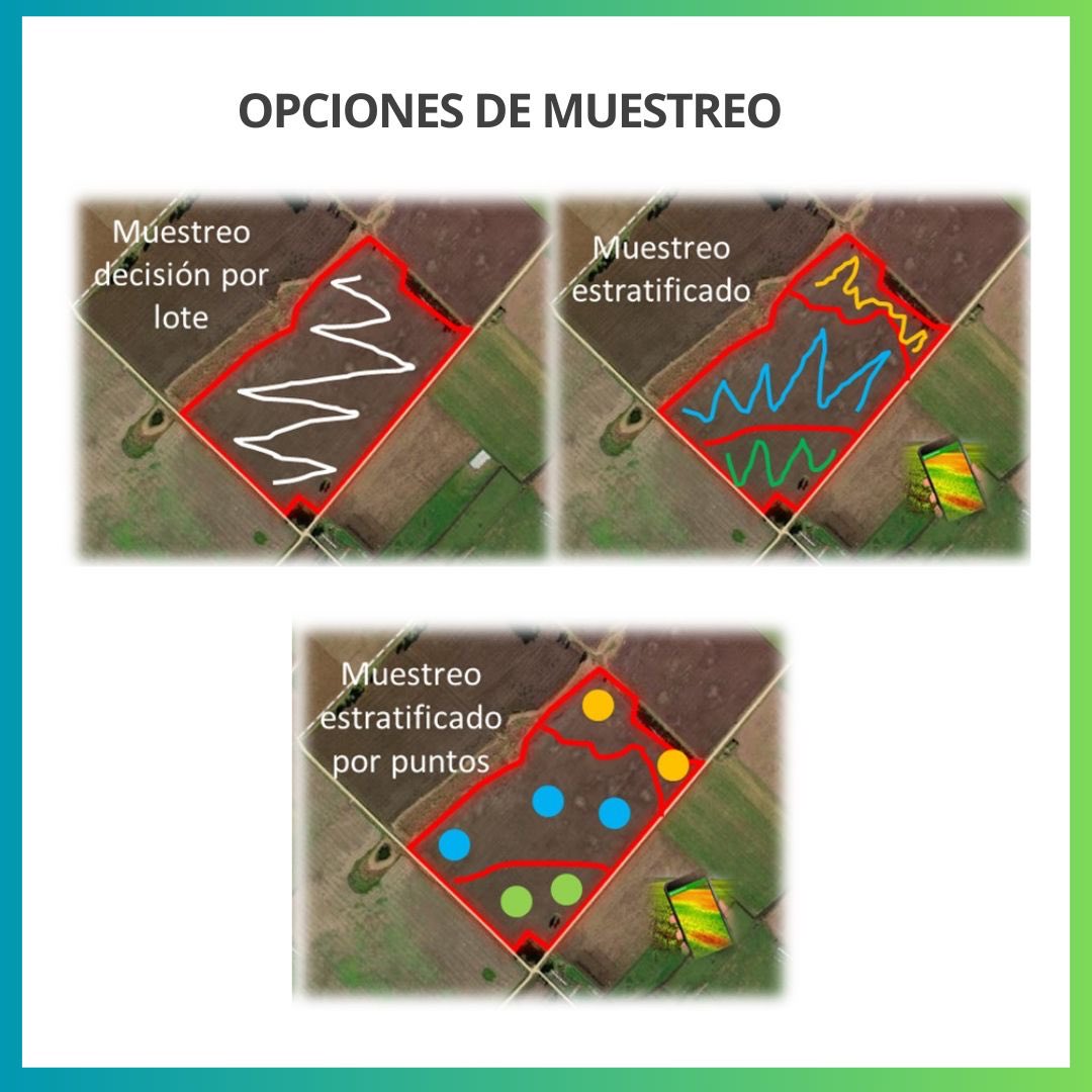 LopezdeSabando's tweet photo. Boletín técnico 03 - HORIZONTE. Fertilidad de precisión en fina. Paso 1: Muestreo de suelos. https://t.co/OLbPAVWQcT