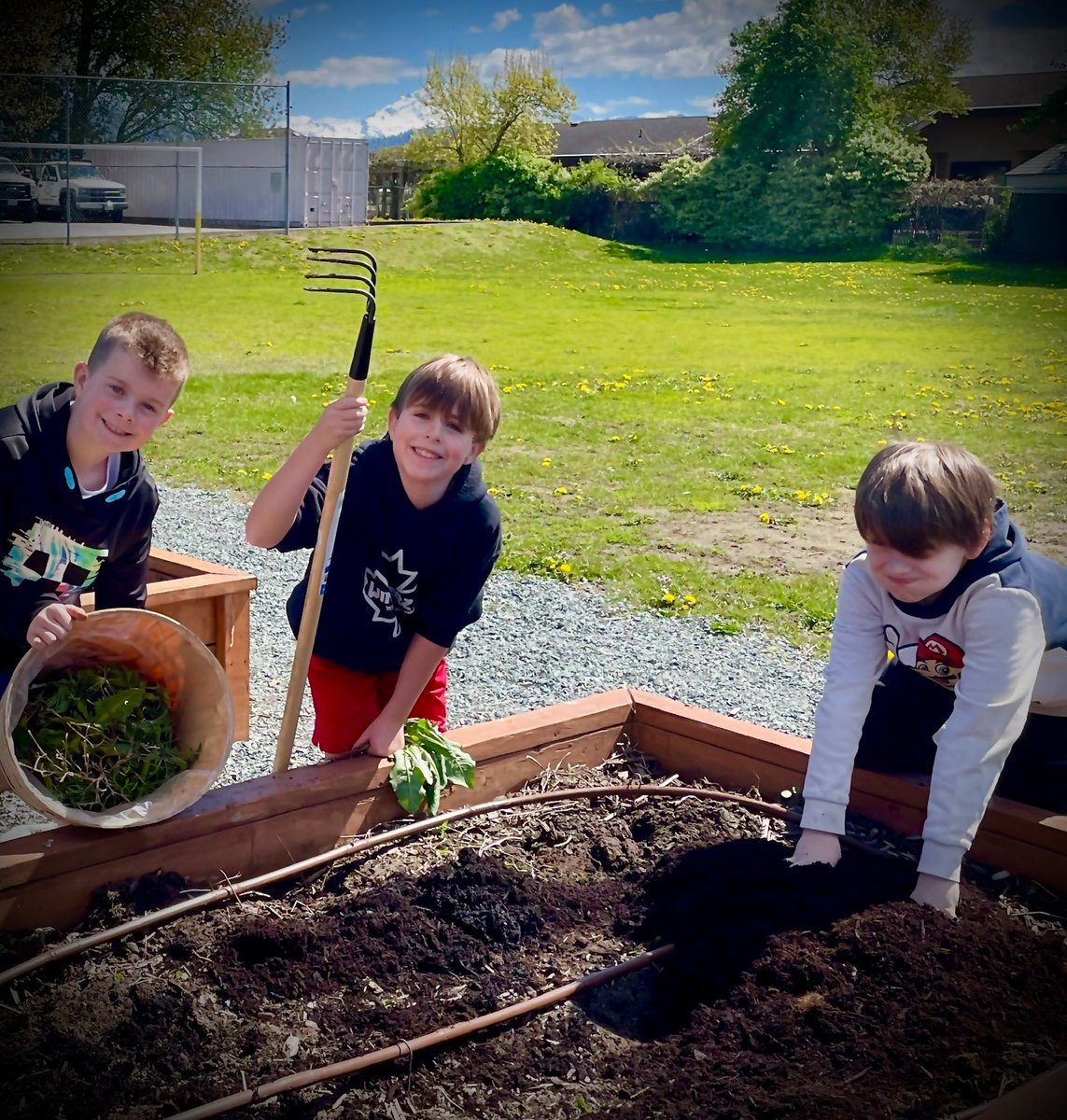 Cameron Friesen tweet media