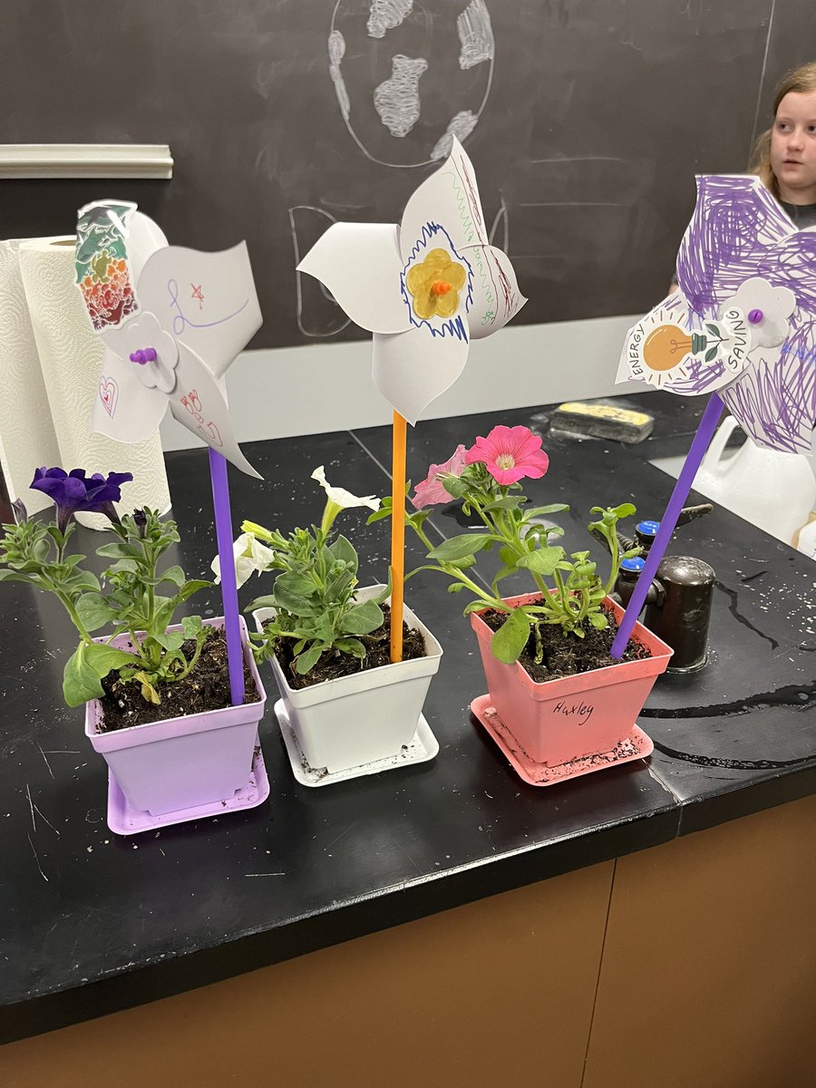 mayallscience's tweet photo. Earth Day 2024 #4teamvalley https://t.co/sYwWkTAID1