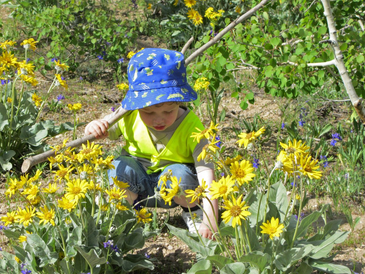 🌎 Happy #EarthDay! Let's celebrate the beauty and wonder of our amazing public lands together. Take a moment to appreciate all the little things that make them so special. Let's work together to sustain them for generations to come! Stacey Moore 📸