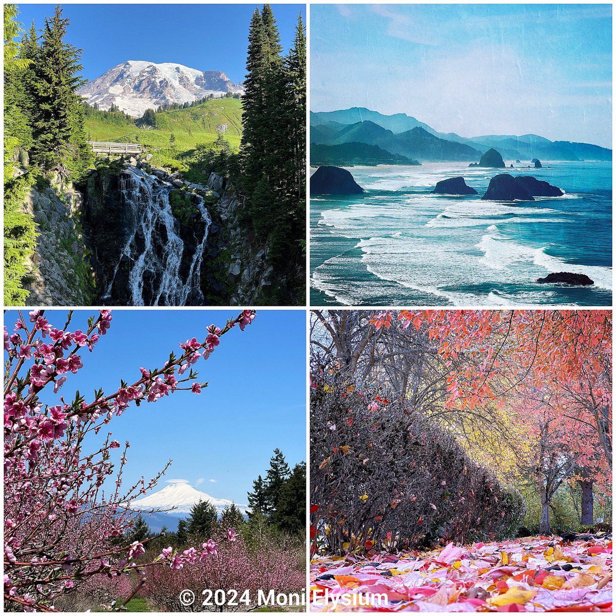 Happy Earth Day 🌎 🌸🗻🌊🍁🍂❤️ © 2024 Moni Elysium -Mt. Rainier -Ecola State Park -Peach blossoms & Mt Adams -Fall leaves