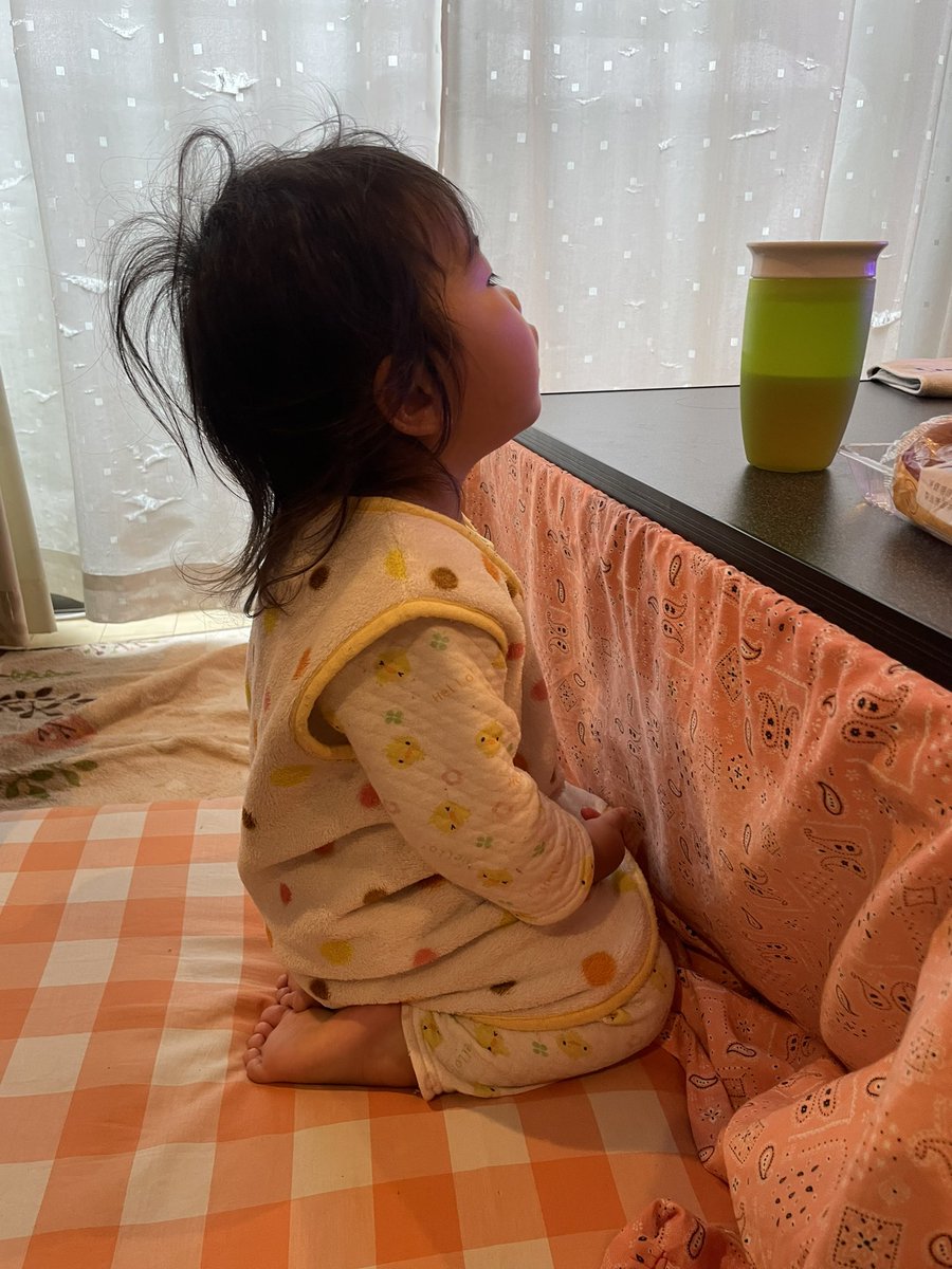 R453374510's tweet image. ずっと眺めていたい二歳児の正座姿