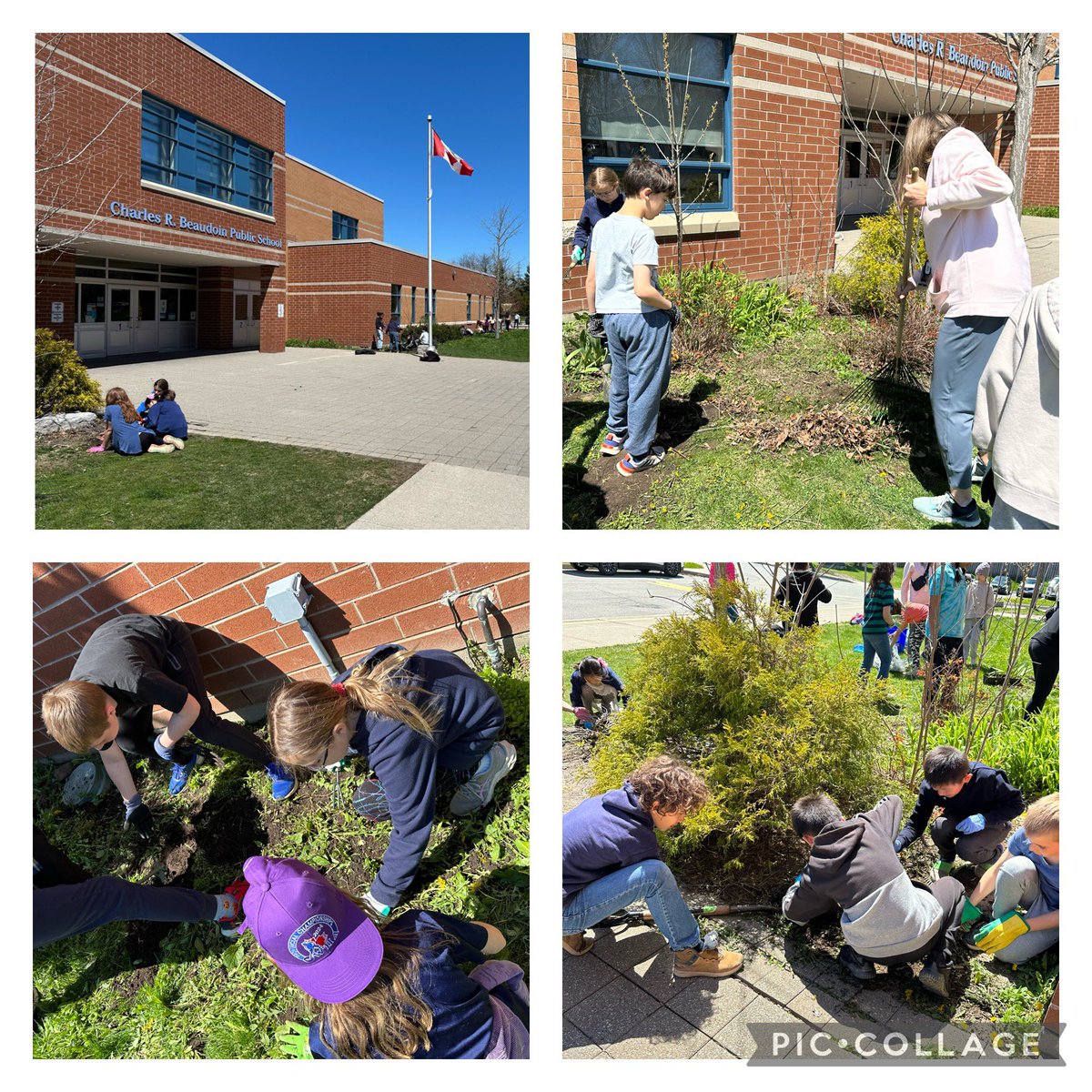 MsJenMachado's tweet photo. Today’s Earth Day at CRB was  fantastic! The sun was shining and everyone did their part. From pulling weeds to picking up garbage and from tossing seed bombs into the naturalization site to enjoying outdoor play, we showed CRB has a big ❤️ for the environment. https://t.co/TANkIrXZa7